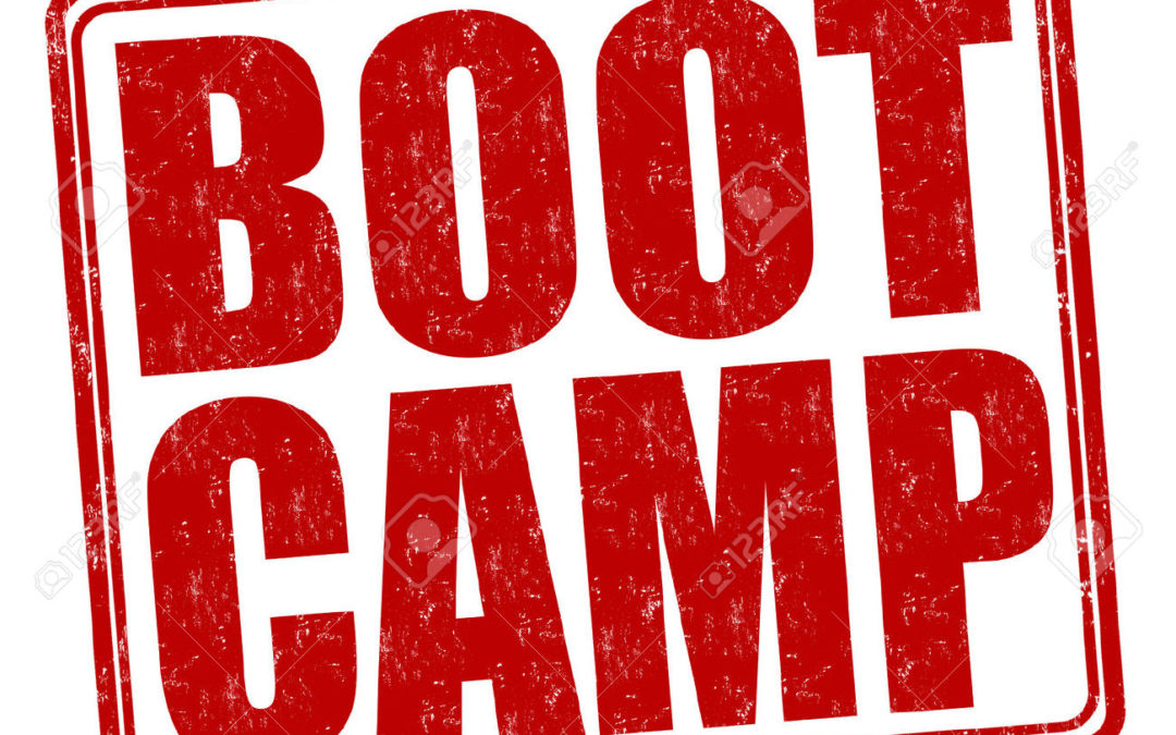 Join Us for Our Free Fall Boot Camp: Donor Advised Fund Essentials for Small and Medium Charities